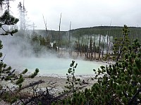 Yellowstone Norris Geyser Cistern spring (8).JPG